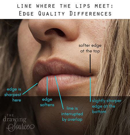 The Key to a Magical Lip Edge: Precision and Technique